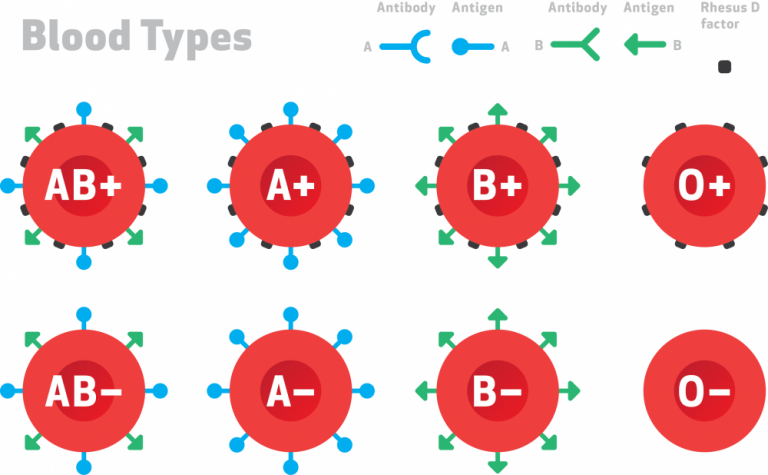 blood-types-and-coronavirus-how-many-blood-groups-are-there-and-what